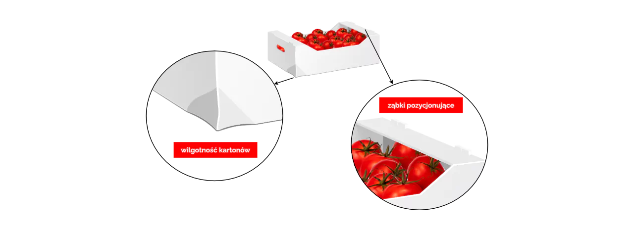 grafika-z-kartonem-wilgotnosc-zabki-1