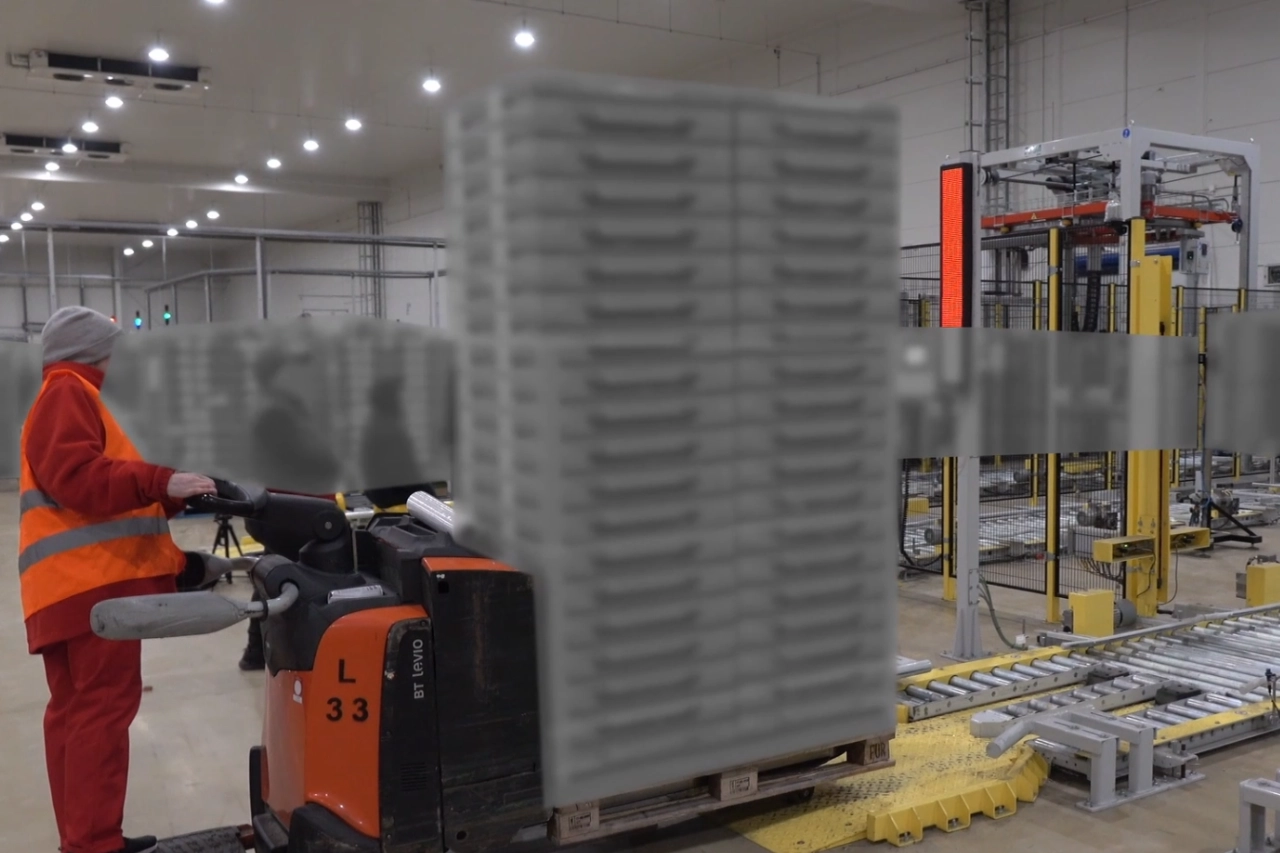 niskie przenośniki; paleciaki