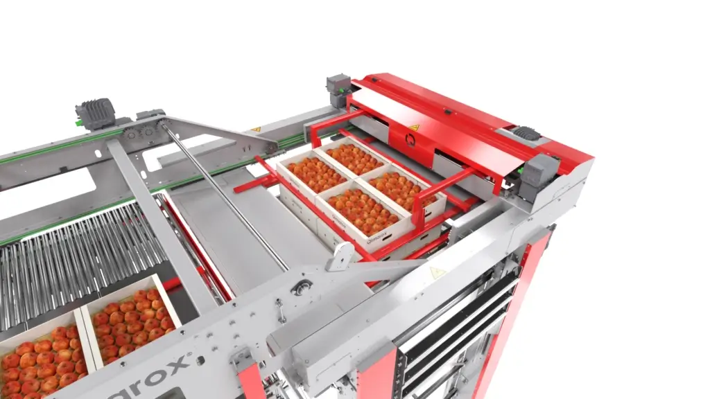 hr 17 paletyzator dla owoców i warzyw 2