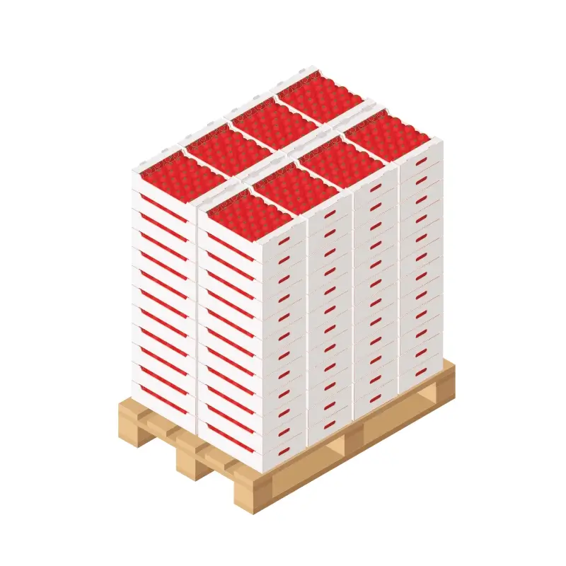 isometric open box pallet