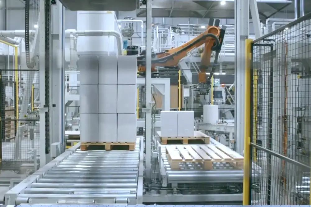 linie paletyzacji (1)