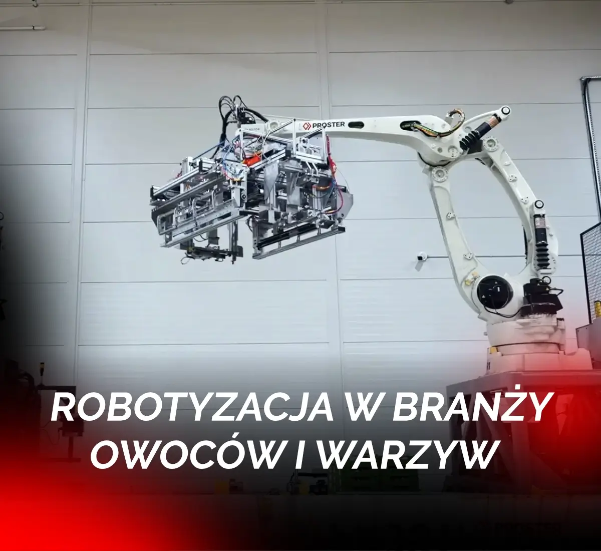robotyzacja w branży owoców i warzyw