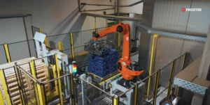 robot do paletyzacji cebuli
